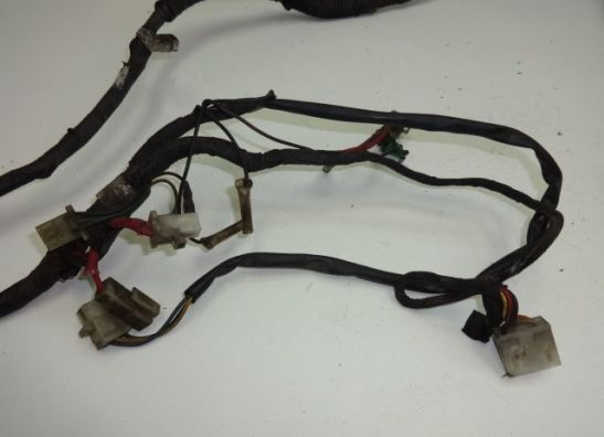 Kabelbaum Yamaha FJ 1100