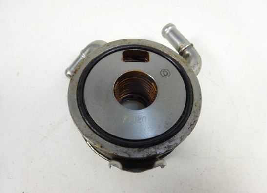 Motorblok diverse Triumph Street Triple 675