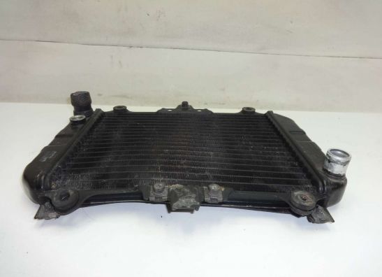 Radiator Kawasaki GPZ 500