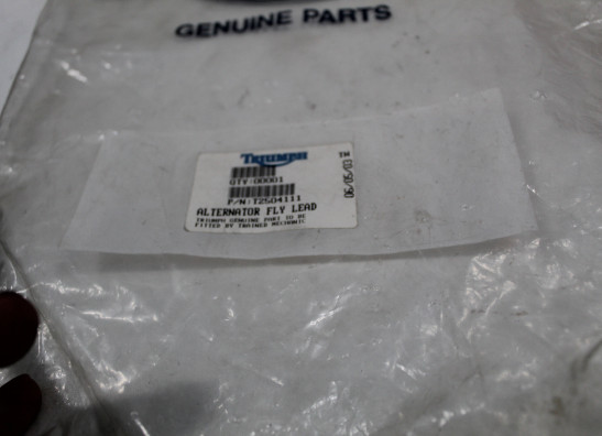 Stator electric Triumph 955 daytona