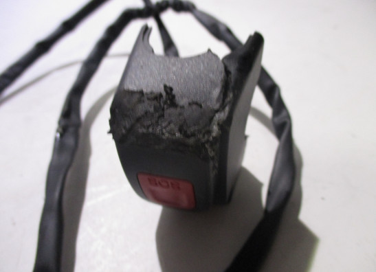 Stuurschakelaar BMW R 1250 RS