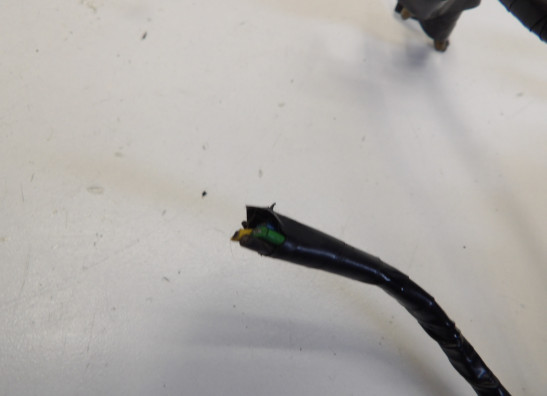 Dynamo Suzuki VS 700 Intruder