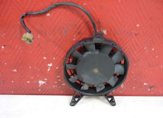 Ventilator Triumph Tiger 955i 1999-2005