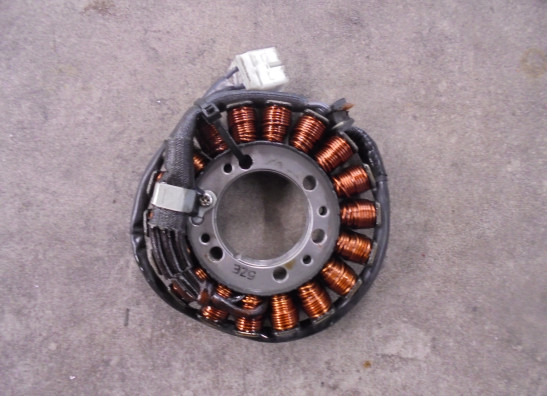 Dynamo Kawasaki ER 6