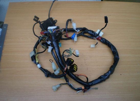Wire Harness Yamaha FAZER 600