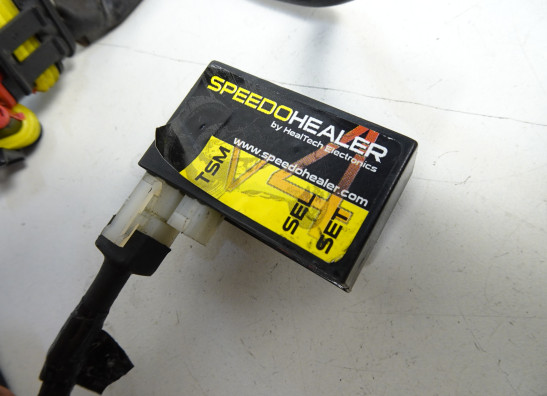 Wire Harness Aprilia Dorsoduro 750