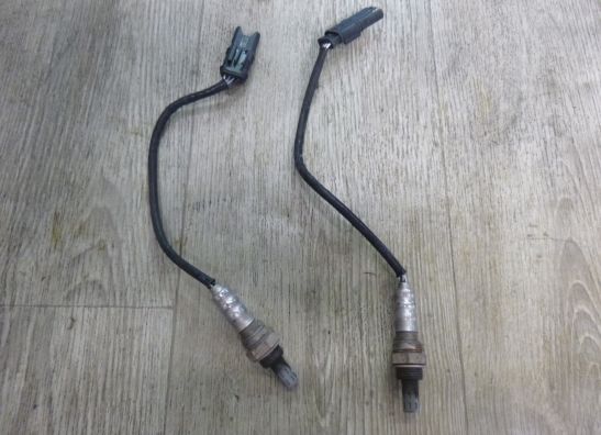 Lambdasonde BMW R 1200 GS LC