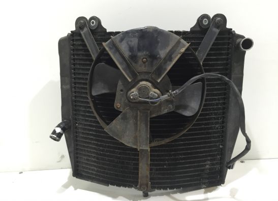 Kuhler Suzuki GSX R 750