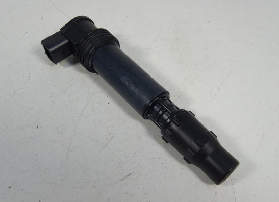 Bobine Triumph Street Triple 675