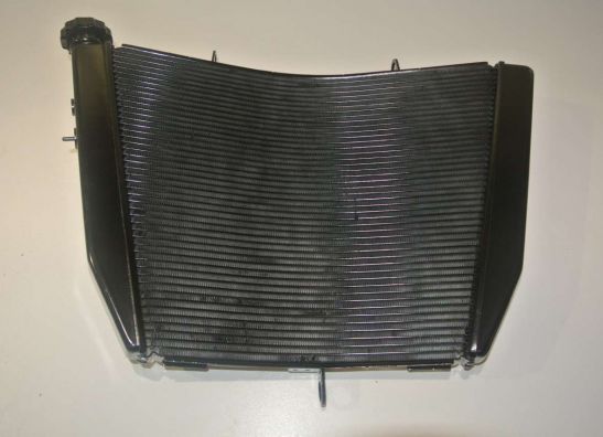 Radiator Suzuki GSX R 600