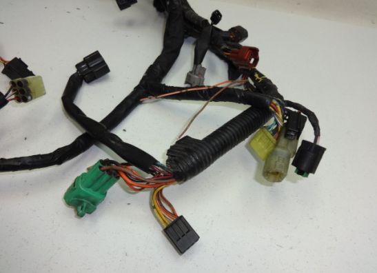 Kabelboom Suzuki DL 650 V STROM