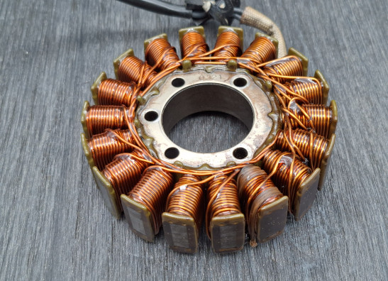 Dynamo Triumph Tiger 1050