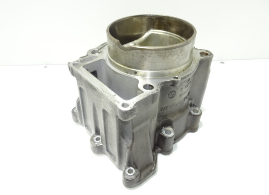 Cilinderblok BMW F 650 GS