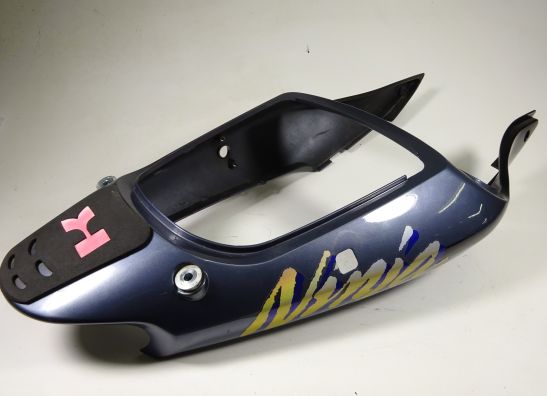 Heck Kawasaki ZX 6 R