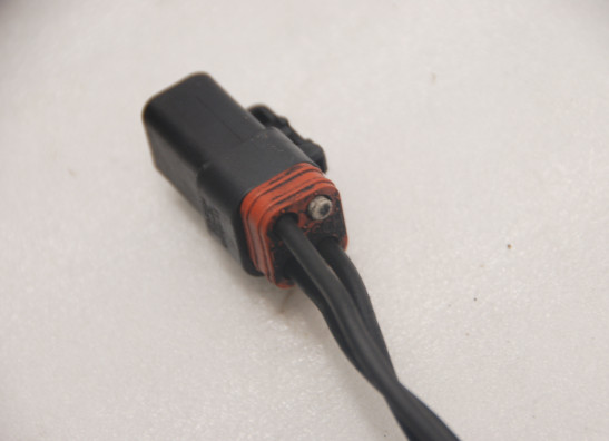 Stator electric Harley Davidson Softtail