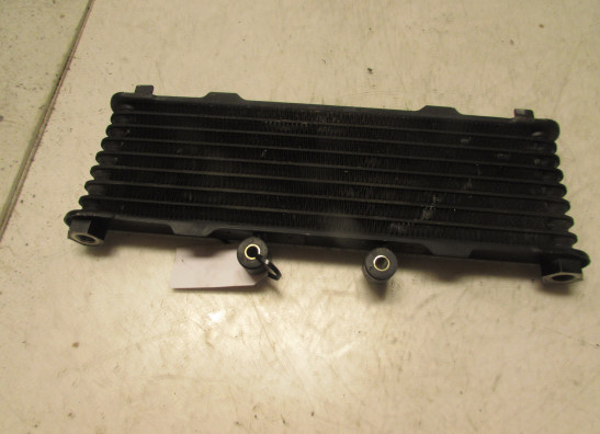 Olkuhler Suzuki GSX F 600