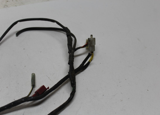 Kabelbaum Kawasaki ER 5