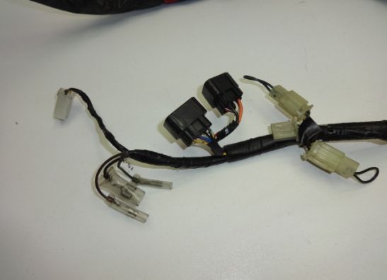 Wire Harness Yamaha FAZER 600