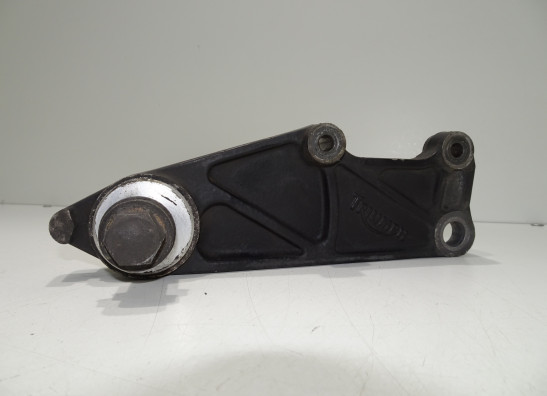 Achteras Triumph Tiger 900