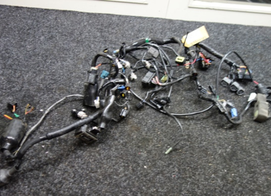 Wire Harness Kawasaki Z 800