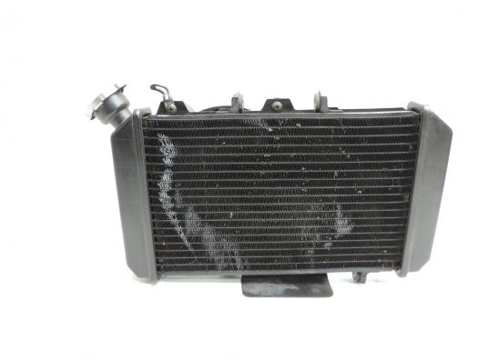 Radiateur Hyosung Comet 650