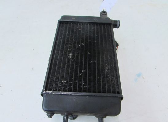 Radiator Aprilia RSV 1000