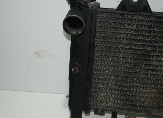 Radiateur Triumph 900 Daytona