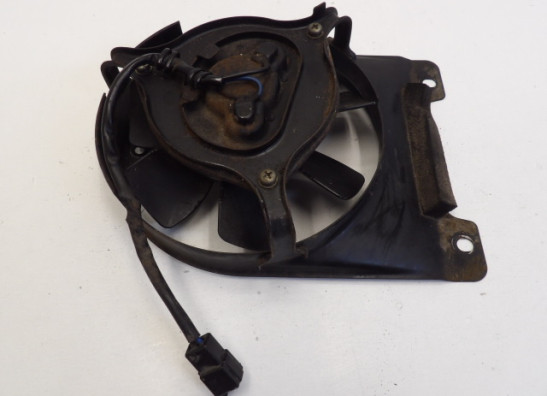 Fan Yamaha TDM
