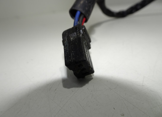 Rear light Triumph Sprint RS