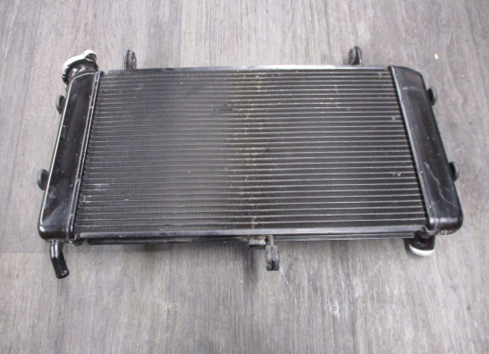Radiator Suzuki GSX S 750