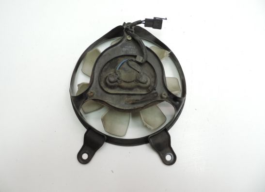 Lufter Triumph 595 T Daytona