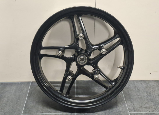 Voorvelg BMW R 1100 S