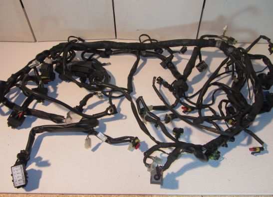 Kabelboom Moto Guzzi Norge