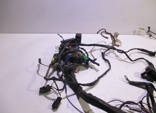 Kabelboom BMW R 850 R