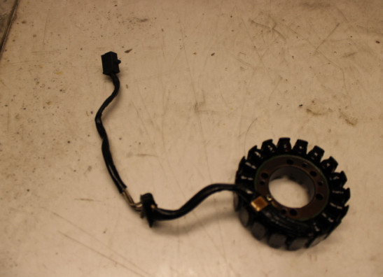 Dynamo Kawasaki ER 6
