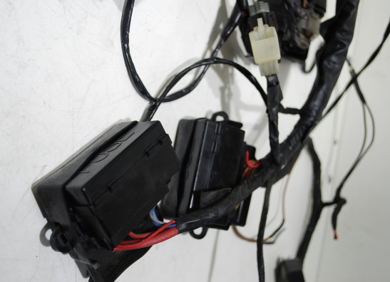 Kabelboom Yamaha GTS 1000