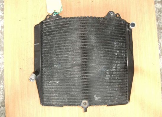 Radiator Suzuki GSX R 750