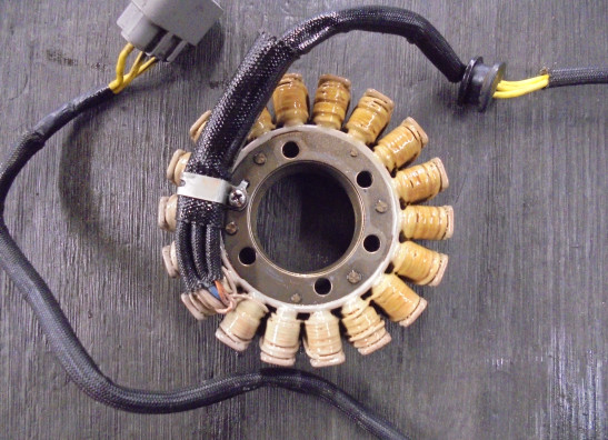 Lichtmaschine Ducati Monster 821