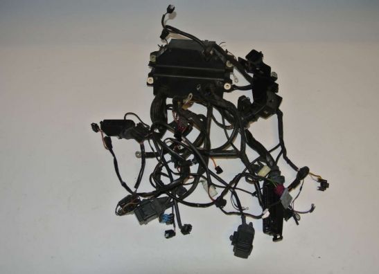 Kabelbaum BMW R 1200 C 1997-2004