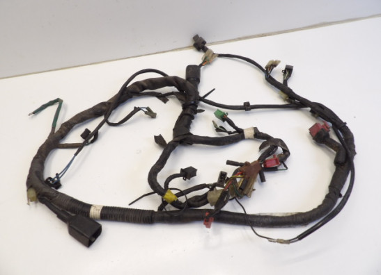 Wire Harness Honda XBR 500