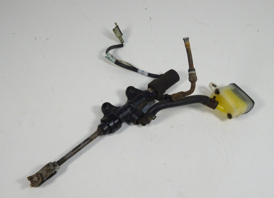 Rempomp achter Triumph Sprint ST 1050