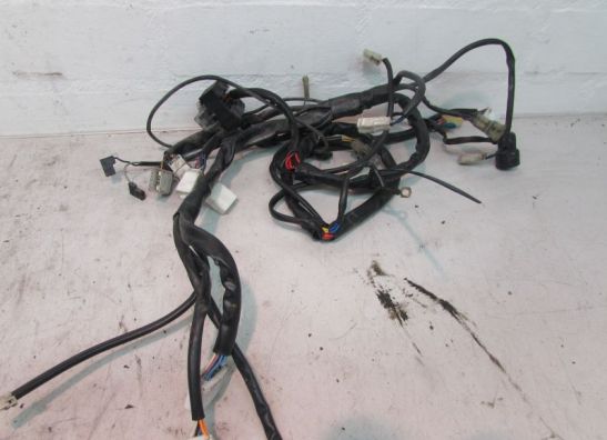 Kabelbaum Cagiva G 600 W