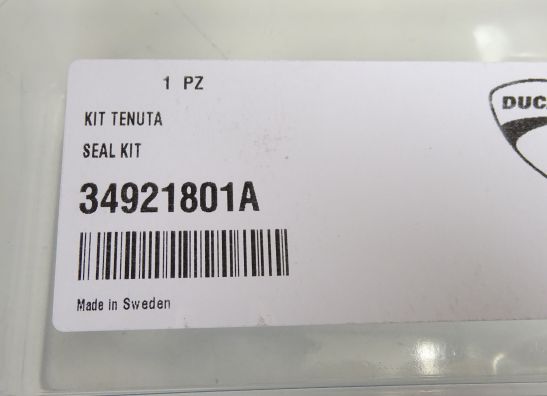 Voorpoten Ducati 1299 Panigale