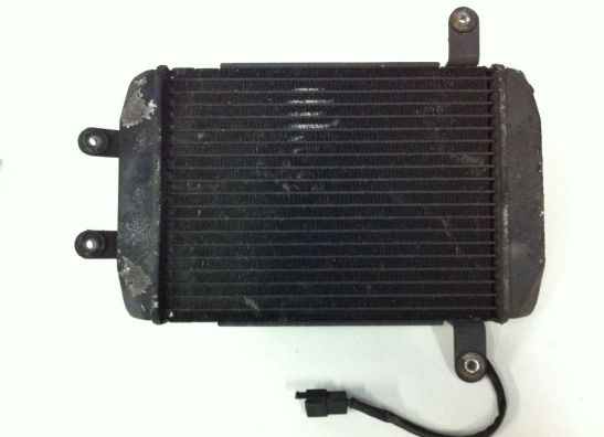 Radiateur Suzuki Burgman 400