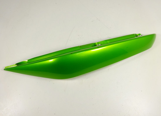 Heck links Kawasaki ER 6