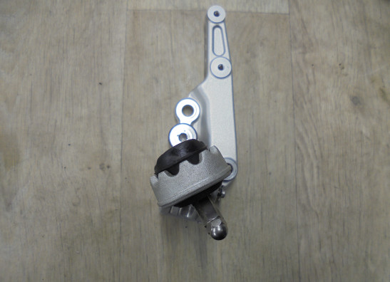 Schetsplaat links Triumph Tiger 900 Rally Pro