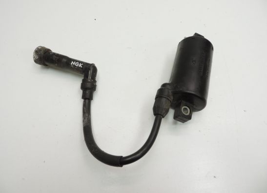 Ignition Coil Kawasaki LTD 454