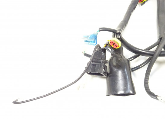 Kabelboom Benelli 302 R