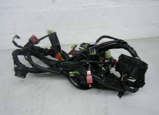 Wire Harness Honda CBR 1000 F