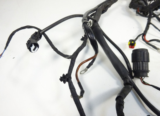 Kabelbaum BMW F 800 S - ST